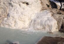 Bellini’nin Portresinde Roma Mirasının Yeni Sahibi Fatih Sultan Mehmed