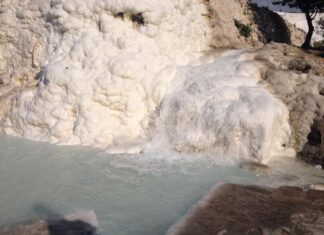 Bellini’nin Portresinde Roma Mirasının Yeni Sahibi Fatih Sultan Mehmed