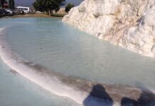 Gentile Bellini’nin İstanbul Sonrası Venedik’teki Başarısı